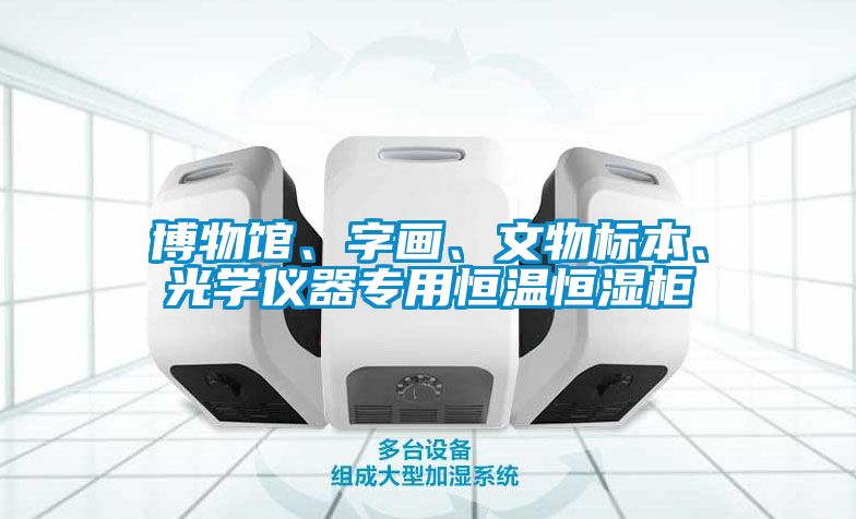博物馆、字画、文物标本、光学仪器专用恒温恒湿柜