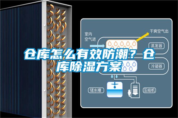 仓库怎么有效防潮？仓库除湿方案