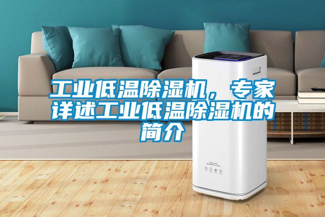 工业低温除湿机，专家详述工业低温除湿机的简介