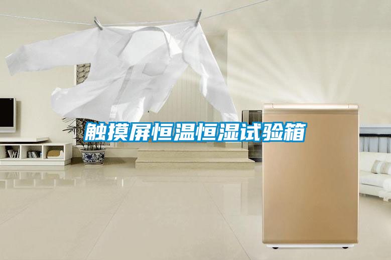 触摸屏恒温恒湿试验箱