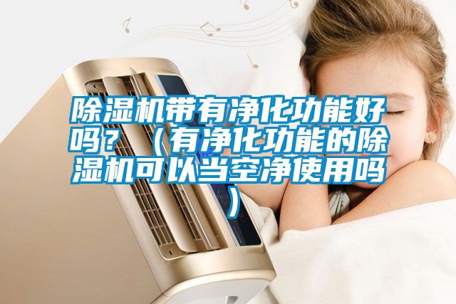 除湿机带有净化功能好吗？（有净化功能的除湿机可以当空净使用吗）