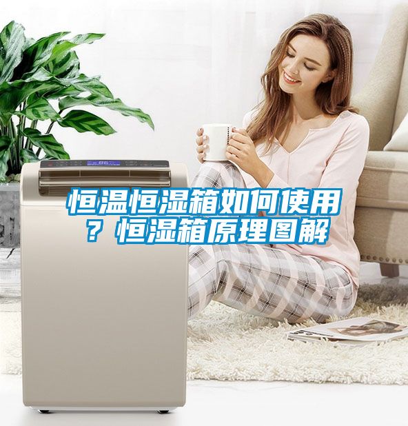 恒温恒湿箱如何使用？恒湿箱原理图解
