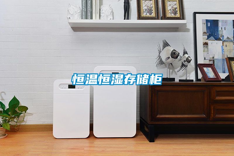 恒温恒湿存储柜