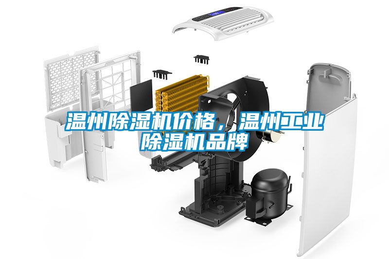 温州除湿机价格，温州工业除湿机品牌