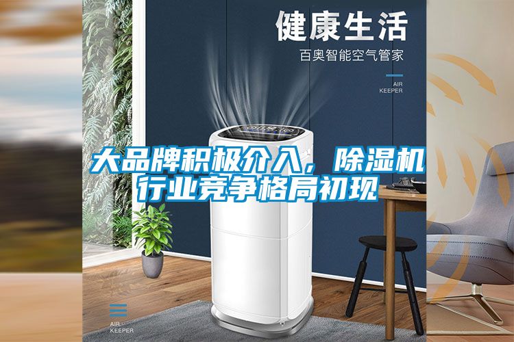 大品牌积极介入，除湿机行业竞争格局初现