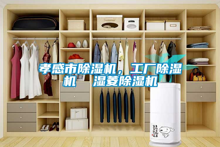孝感市除湿机，工厂除湿机  湿菱除湿机