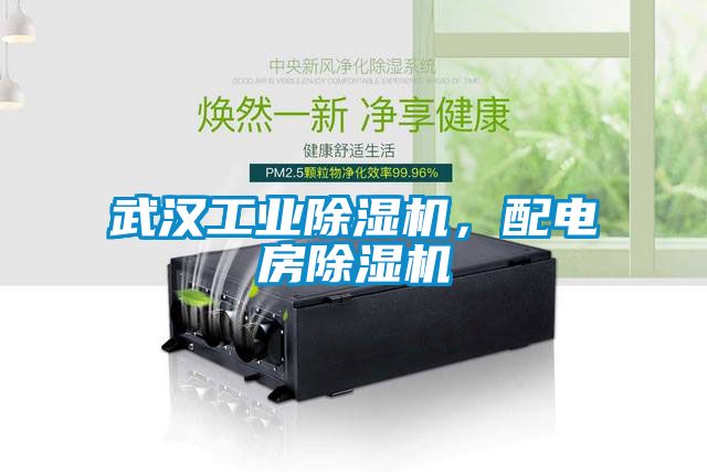 武汉工业除湿机，配电房除湿机