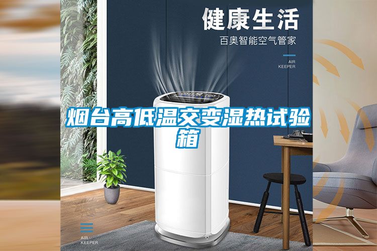 烟台高低温交变湿热试验箱