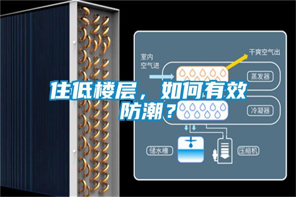 住低樓層，如何有效防潮？