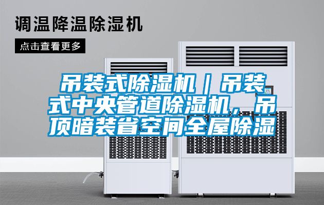 吊装式除湿机｜吊装式中央管道除湿机，吊顶暗装省空间全屋除湿