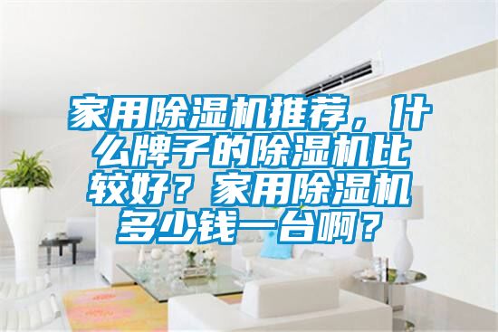 家用除湿机推荐，什么牌子的除湿机比较好？家用除湿机多少钱一台??？