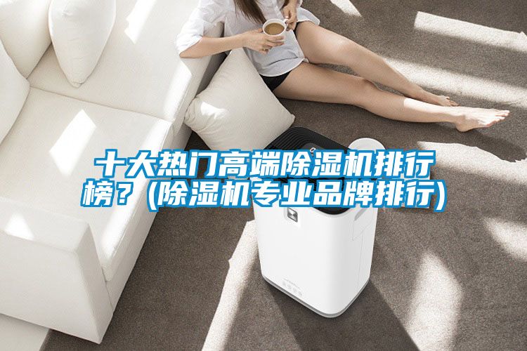 十大热门高端除湿机排行榜？(除湿机专业品牌排行)