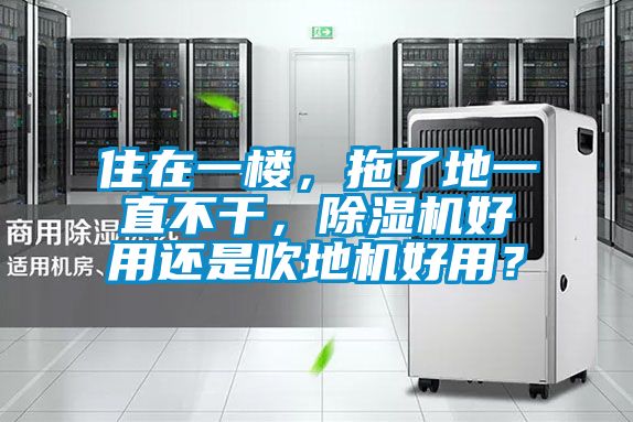 住在一楼，拖了地一直不干，除湿机好用还是吹地机好用？