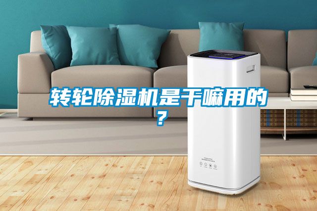 转轮除湿机是干嘛用的？
