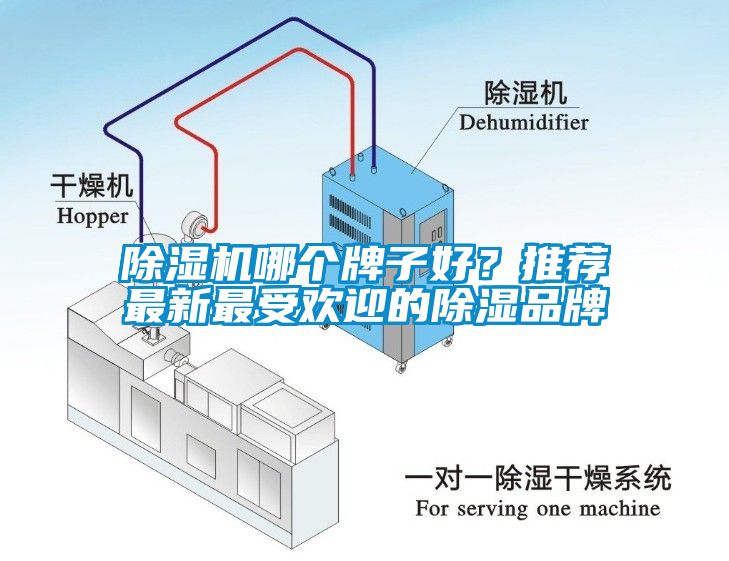 除湿机哪个牌子好？推荐最新最受欢迎的除湿品牌