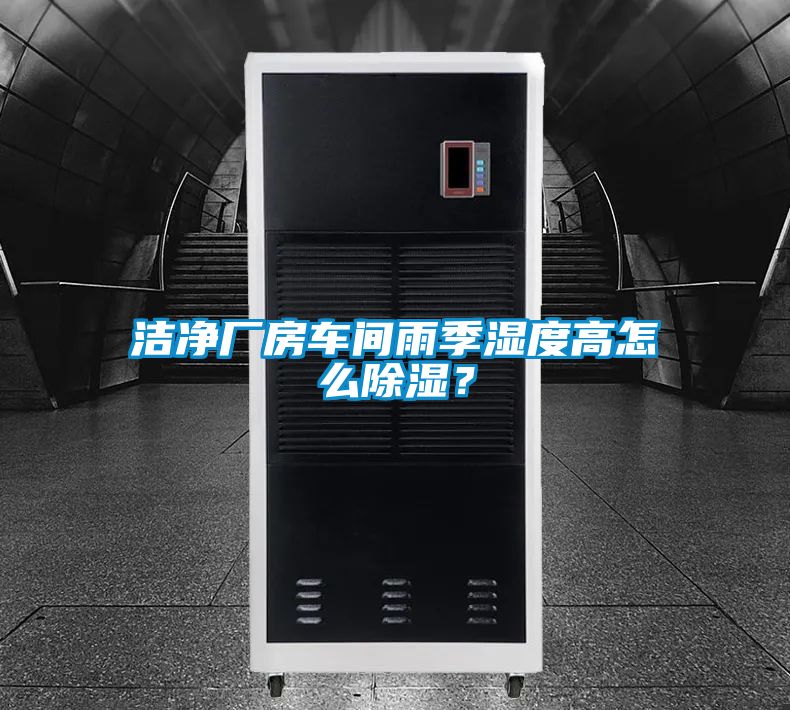 洁净厂房车间雨季湿度高怎么除湿？