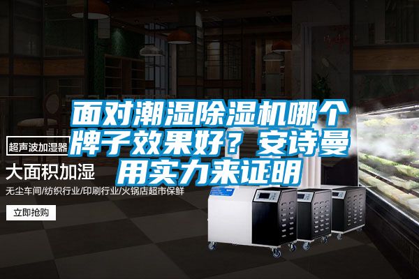 面对潮湿除湿机哪个牌子效果好？安诗曼用实力来证明