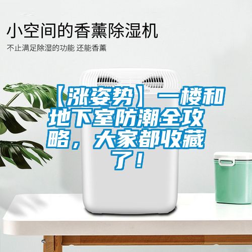 【涨姿势】一楼和地下室防潮全攻略，大家都收藏了！
