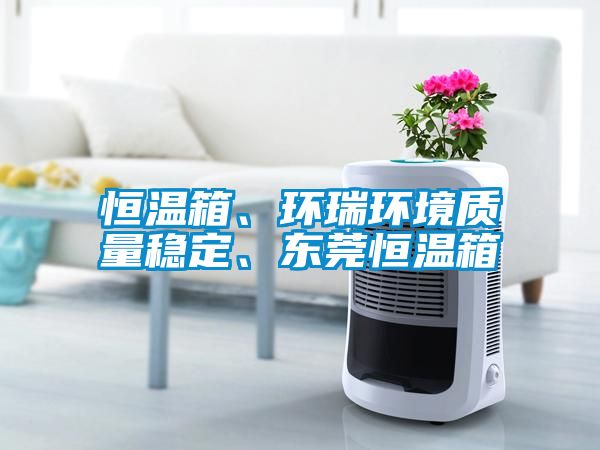 恒温箱、环瑞环境质量稳定、东莞恒温箱