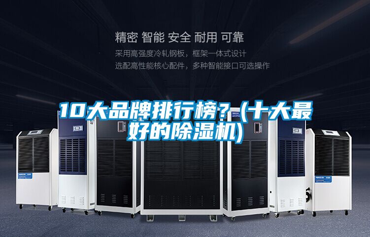10大品牌排行榜？(十大最好的除湿机)