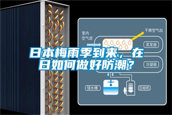日本梅雨季到来，在日如何做好防潮？