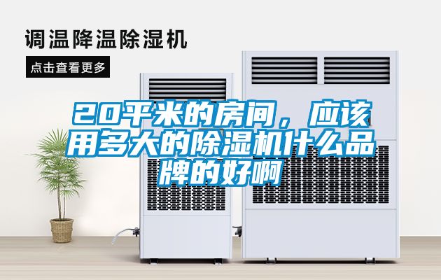 20平米的房间，应该用多大的除湿机什么品牌的好啊