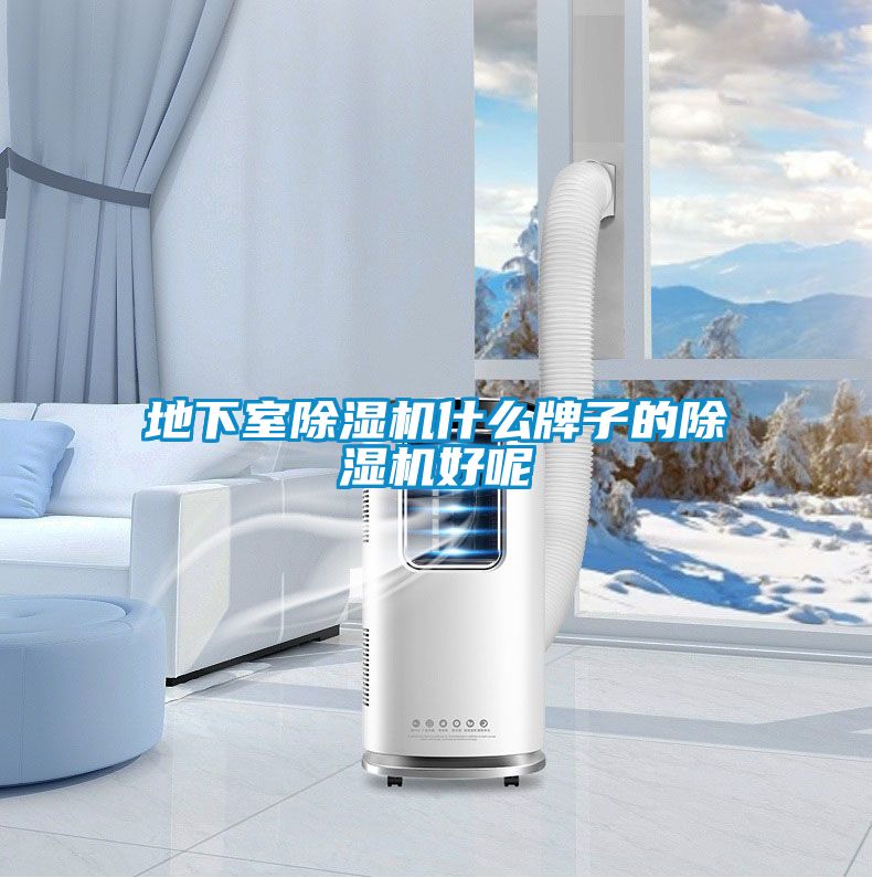 地下室除湿机什么牌子的除湿机好呢