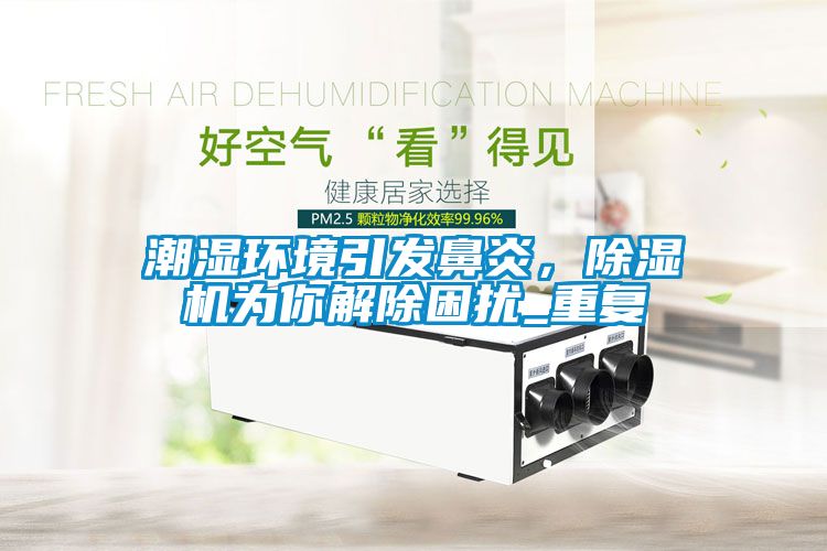 潮湿环境引发鼻炎，除湿机为你解除困扰_重复