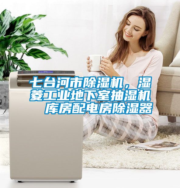七台河市除湿机，湿菱工业地下室抽湿机  库房配电房除湿器