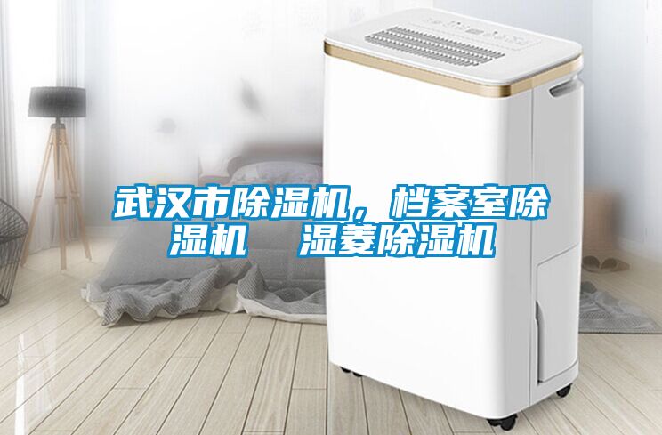 武汉市除湿机，档案室除湿机  湿菱除湿机