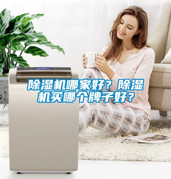 除湿机哪家好？除湿机买哪个牌子好？