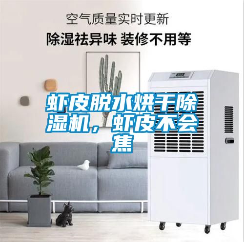 虾皮脱水烘干除湿机，虾皮不会焦
