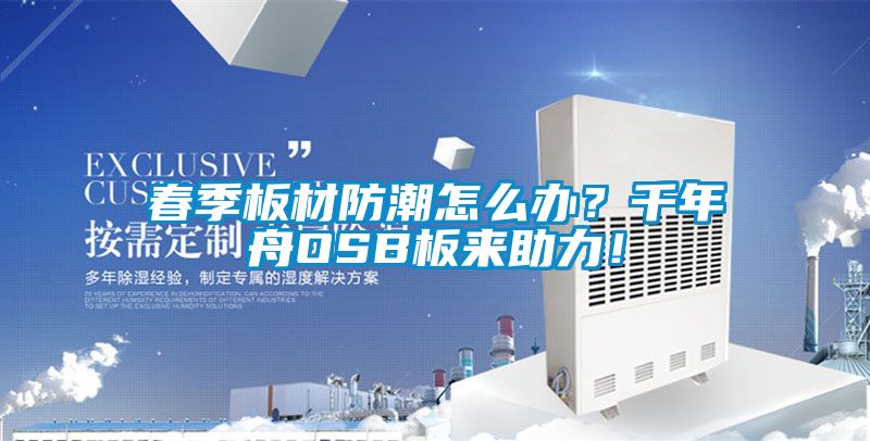 春季板材防潮怎么办？千年舟OSB板来助力！