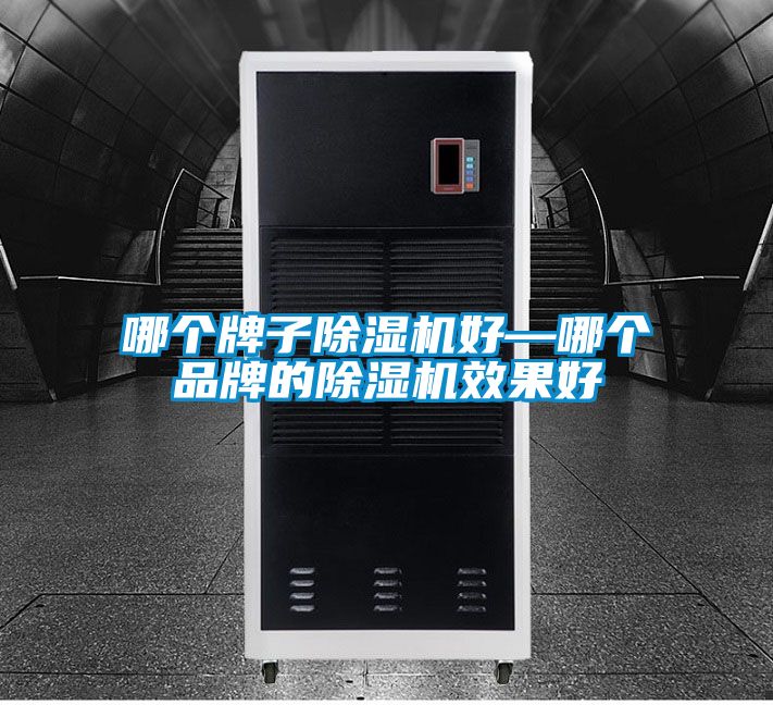 哪个牌子除湿机好—哪个品牌的除湿机效果好