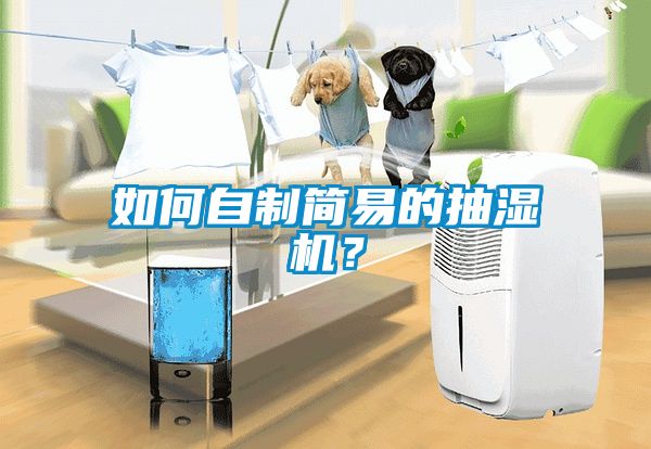 如何自制简易的抽湿机？