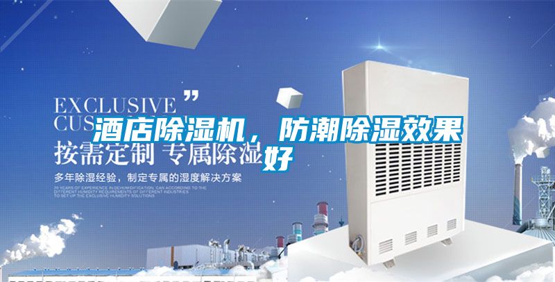 酒店除湿机，防潮除湿效果好