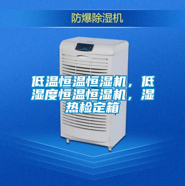 低温恒温恒湿机，低湿度恒温恒湿机，湿热检定箱