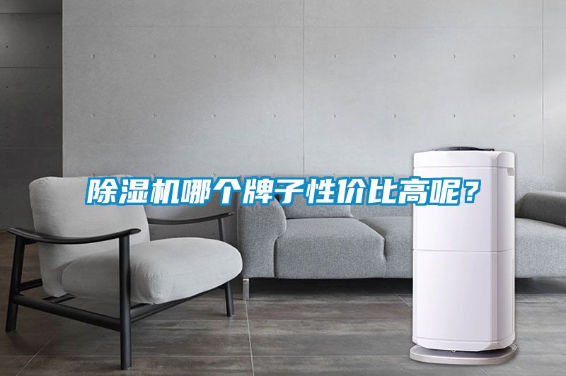 除湿机哪个牌子性价比高呢？