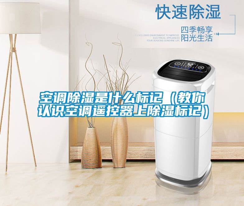空调除湿是什么标记（教你认识空调?？仄魃铣昙牵?/></p>
						    <p style=