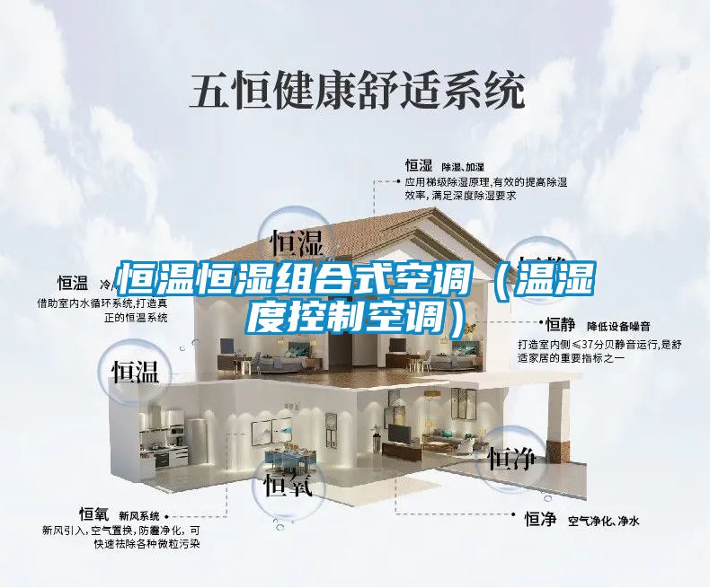 恒温恒湿组合式空调（温湿度控制空调）