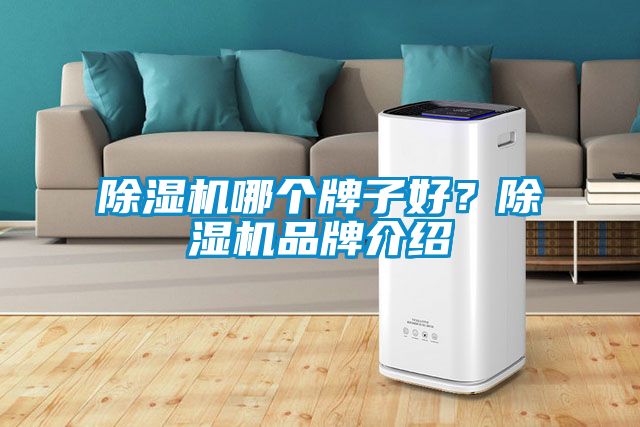除湿机哪个牌子好？除湿机品牌介绍