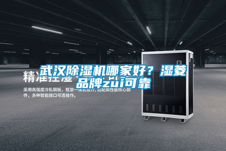 武汉除湿机哪家好？湿菱品牌zui可靠