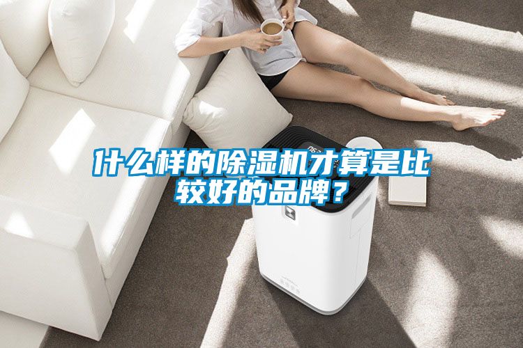 什么样的除湿机才算是比较好的品牌？