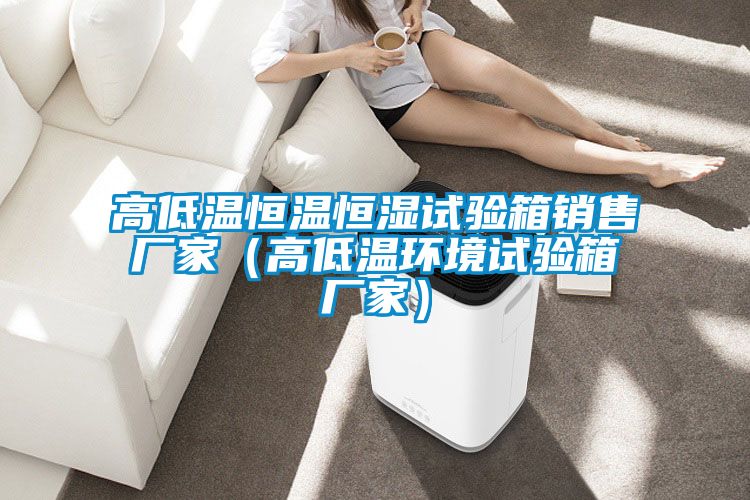 高低温恒温恒湿试验箱销售厂家（高低温环境试验箱厂家）