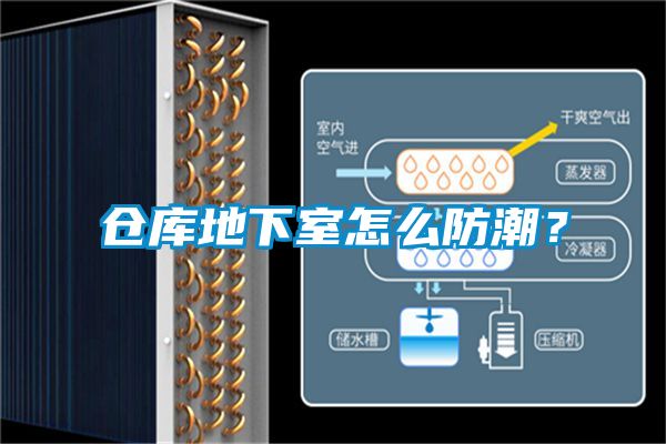仓库地下室怎么防潮？