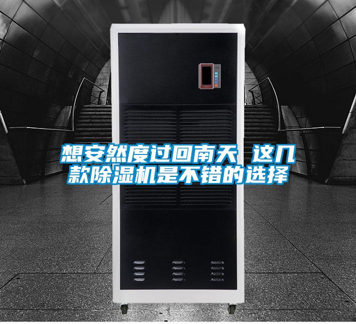 想安然度过回南天 这几款除湿机是不错的选择