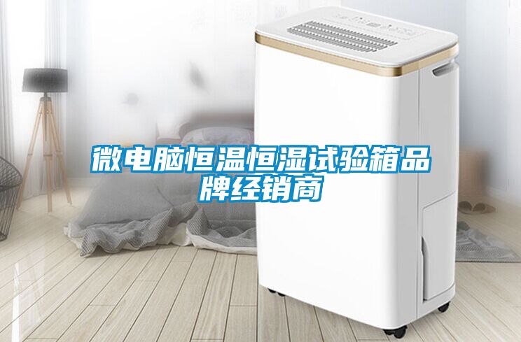 微电脑恒温恒湿试验箱品牌经销商