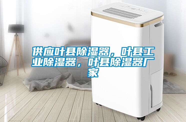 供应叶县除湿器，叶县工业除湿器，叶县除湿器厂家
