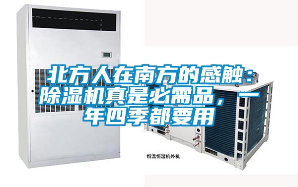 北方人在南方的感触：除湿机真是必需品，一年四季都要用