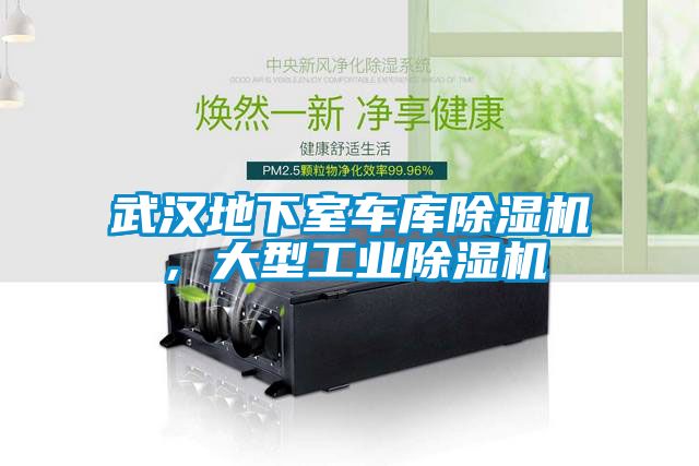 武汉地下室车库除湿机，大型工业除湿机